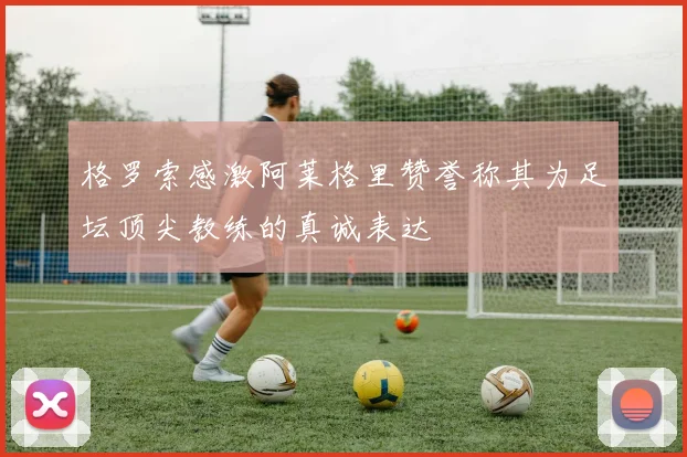 格罗索感激阿莱格里赞誉称其为足坛顶尖教练的真诚表达