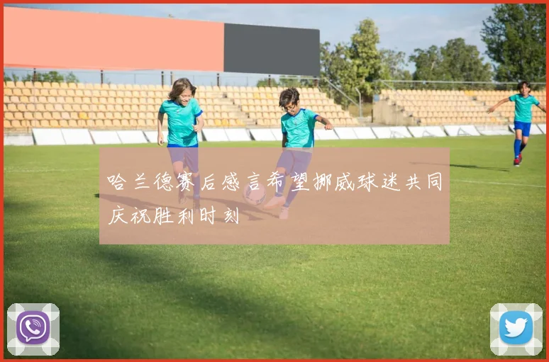 哈兰德赛后感言希望挪威球迷共同庆祝胜利时刻